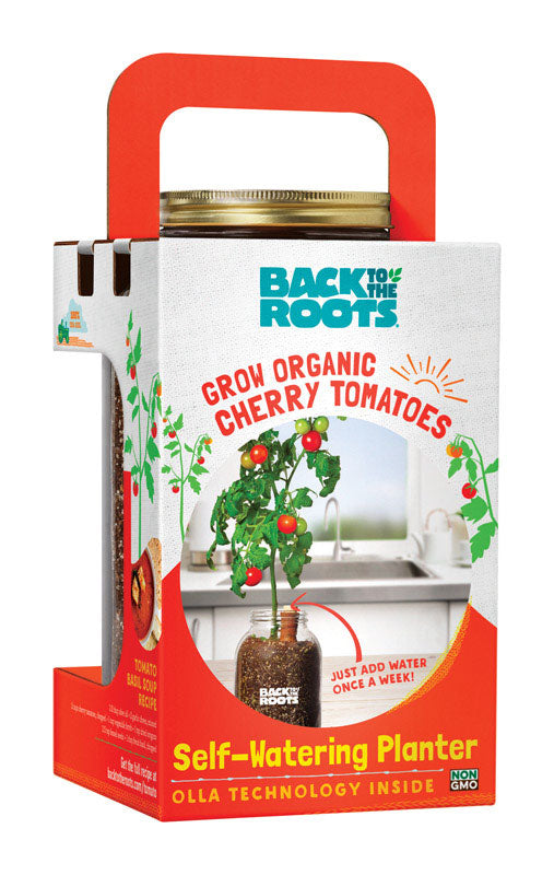 Back to the Roots 7768989 Self-Watering Planter Grow Kit for Full Sun
